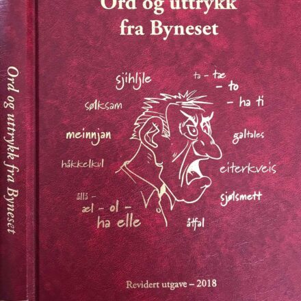 Bok IX - Ord og uttrykk fra Byneset - rev. utgave 2018