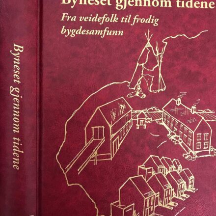 Bok VIII - Byneset gjennom tidene - Fra veidefolk til frodig bygdesamfunn