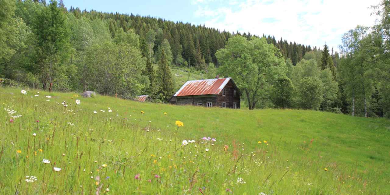 Historisk vandring på husmannsplassene under Haugen, Overby og Onsøyen søndag 28. august 2016.  Plassvandring med vekt på folk og fe ca år 1900