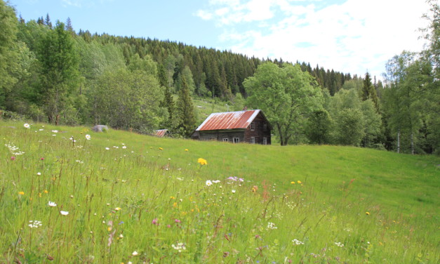 Historisk vandring på husmannsplassene under Haugen, Overby og Onsøyen søndag 28. august 2016.  Plassvandring med vekt på folk og fe ca år 1900