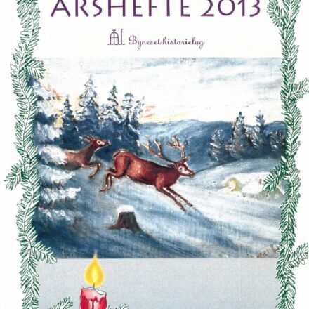 ÅRSHEFTE 2013 (DIGITAL)